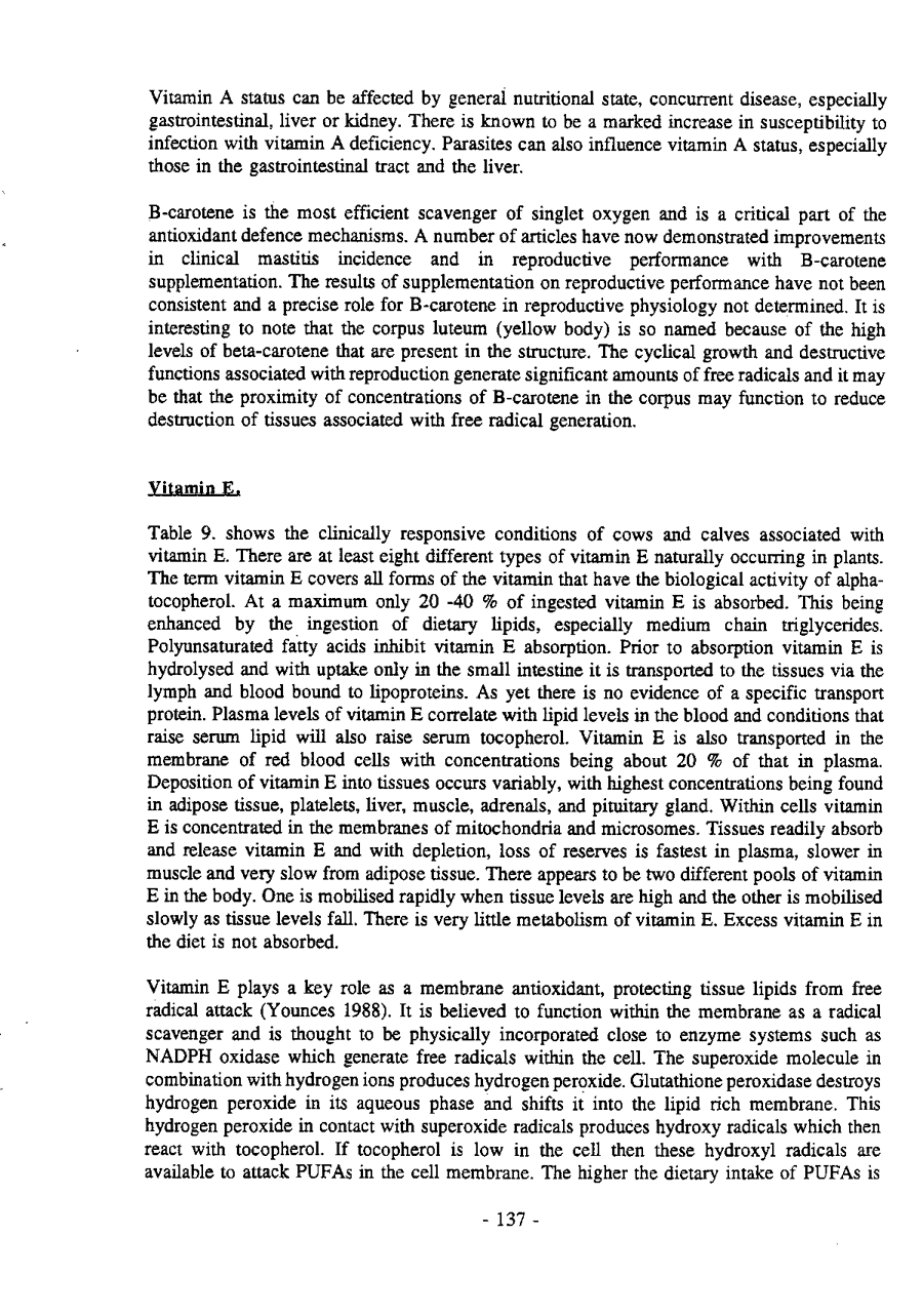 1993 Page 137